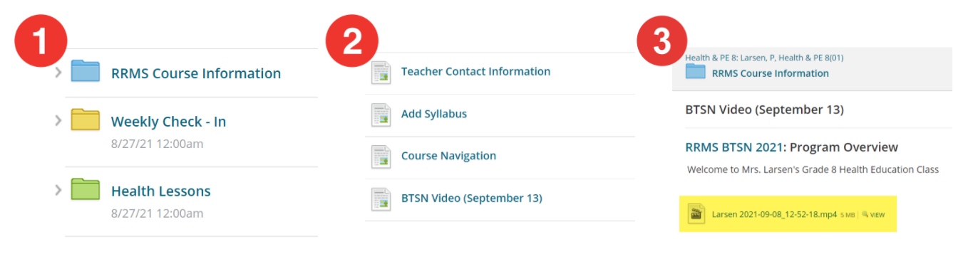 Screenshot of steps: 1. Click on blue folder “RRMS Course Information” 2. Click on BTSN Video 3. Click on video file. 